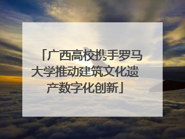 广西高校携手罗马大学推动建筑文化遗产数字化创新