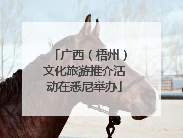 广西（梧州）文化旅游推介活动在悉尼举办