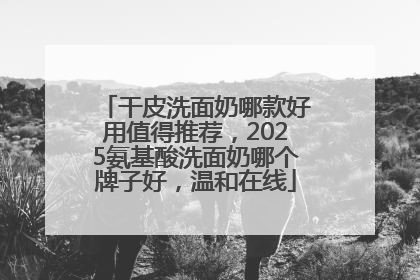 干皮洗面奶哪款好用值得推荐，2025氨基酸洗面奶哪个牌子好，温和在线