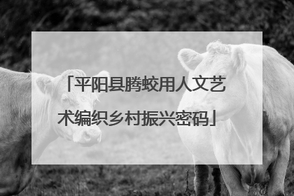 平阳县腾蛟用人文艺术编织乡村振兴密码
