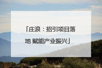 庄浪：招引项目落地 赋能产业振兴