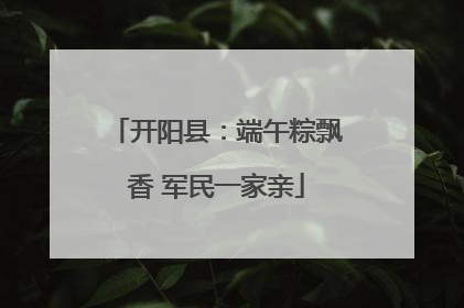 开阳县：端午粽飘香 军民一家亲