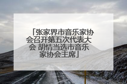 张家界市音乐家协会召开第五次代表大会 胡情当选市音乐家协会主席