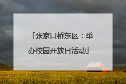 张家口桥东区：举办校园开放日活动