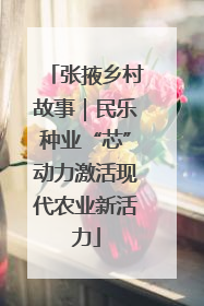 张掖乡村故事｜民乐种业“芯”动力激活现代农业新活力