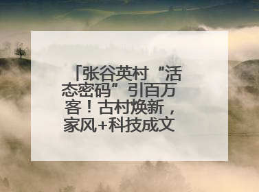 张谷英村“活态密码”引百万客！古村焕新，家风+科技成文旅融合新爆点