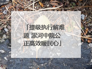 提级执行解难题 漯河中院公正高效暖民心