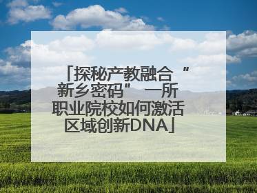 探秘产教融合“新乡密码” 一所职业院校如何激活区域创新DNA