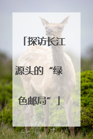 探访长江源头的“绿色邮局”
