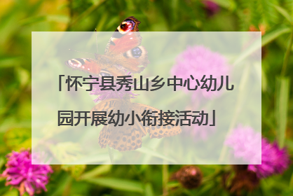 怀宁县秀山乡中心幼儿园开展幼小衔接活动