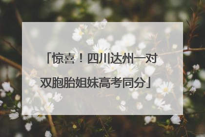 惊喜！四川达州一对双胞胎姐妹高考同分