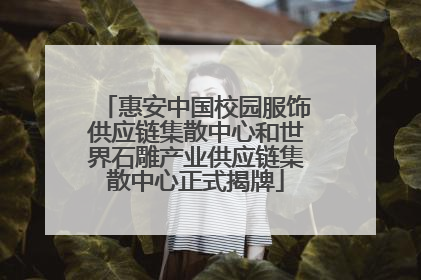 惠安中国校园服饰供应链集散中心和世界石雕产业供应链集散中心正式揭牌