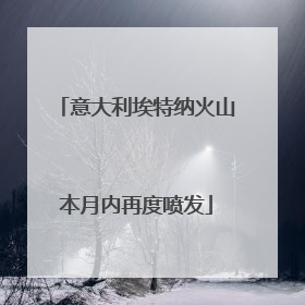 意大利埃特纳火山本月内再度喷发