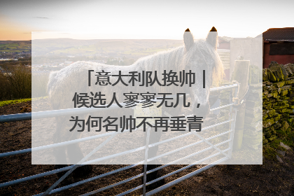 意大利队换帅｜候选人寥寥无几，为何名帅不再垂青“蓝衣军团”？