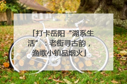 打卡岳阳“湖系生活”：老街寻古韵，渔歌小镇品烟火