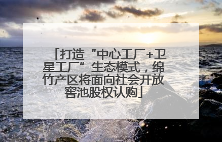 打造“中心工厂+卫星工厂”生态模式，绵竹产区将面向社会开放窖池股权认购