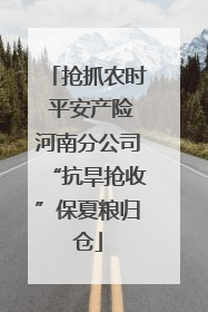 抢抓农时 平安产险河南分公司“抗旱抢收”保夏粮归仓