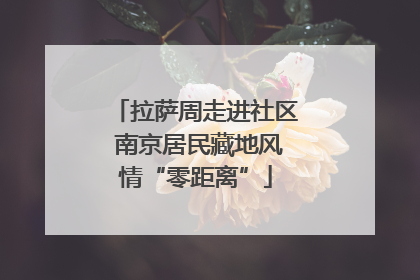 拉萨周走进社区 南京居民藏地风情“零距离”