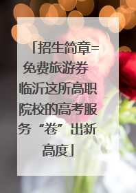 招生简章=免费旅游券 临沂这所高职院校的高考服务“卷”出新高度