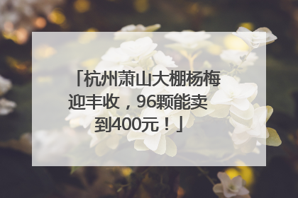 杭州萧山大棚杨梅迎丰收，96颗能卖到400元！