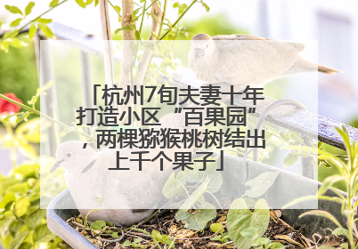 杭州7旬夫妻十年打造小区“百果园”，两棵猕猴桃树结出上千个果子