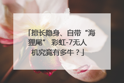 擅长隐身、自带“海狸尾” 彩虹-7无人机究竟有多牛？