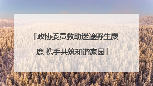 政协委员救助迷途野生麋鹿 携手共筑和谐家园