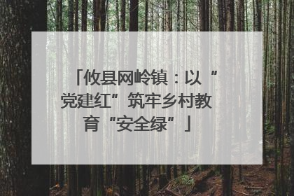 攸县网岭镇：以“党建红”筑牢乡村教育“安全绿”