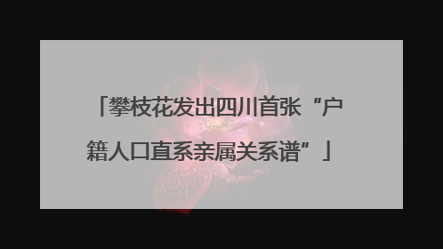 攀枝花发出四川首张“户籍人口直系亲属关系谱”