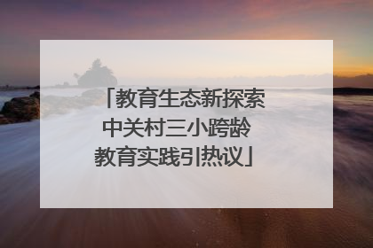 教育生态新探索 中关村三小跨龄教育实践引热议