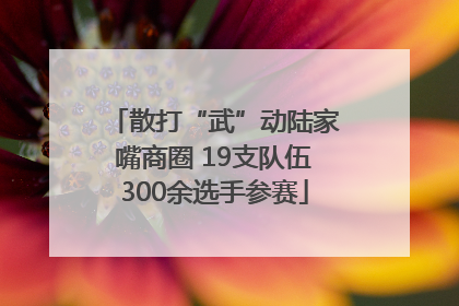 散打“武”动陆家嘴商圈 19支队伍300余选手参赛