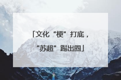 文化“梗”打底，“苏超”踢出圈