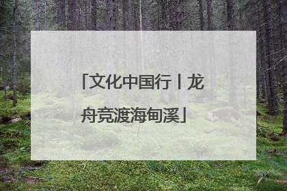文化中国行丨龙舟竞渡海甸溪