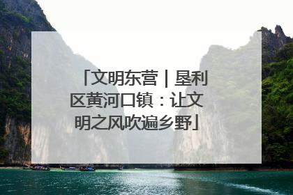 文明东营｜垦利区黄河口镇：让文明之风吹遍乡野