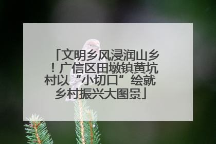 文明乡风浸润山乡！广信区田墩镇黄坑村以“小切口”绘就乡村振兴大图景