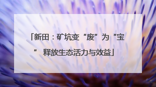 新田：矿坑变“废”为“宝” 释放生态活力与效益