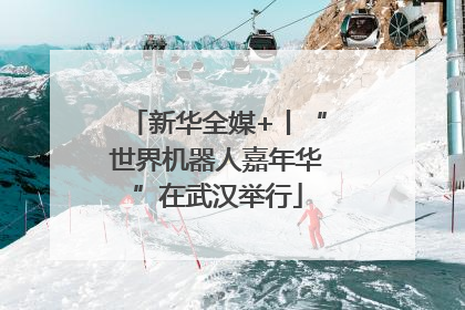 新华全媒+丨“世界机器人嘉年华”在武汉举行