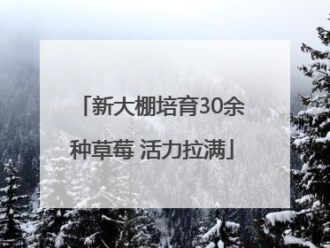 新大棚培育30余种草莓 活力拉满