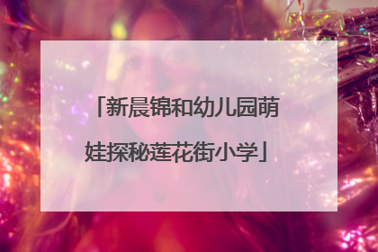 新晨锦和幼儿园萌娃探秘莲花街小学