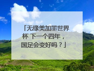 无缘美加墨世界杯 下一个四年，国足会变好吗？