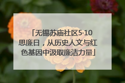 无锡苏庙社区5·10思廉日，从历史人文与红色基因中汲取廉洁力量