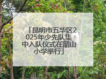 昆明市五华区2025年少先队集中入队仪式在韶山小学举行