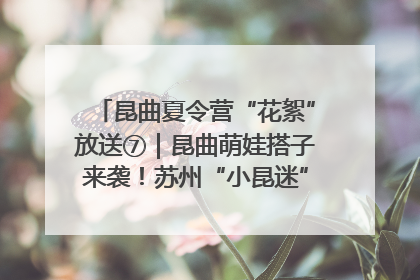 昆曲夏令营“花絮”放送⑦｜昆曲萌娃搭子来袭！苏州“小昆迷”姐弟期待同台演绎“姑苏水磨调”