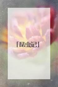 昆虫记