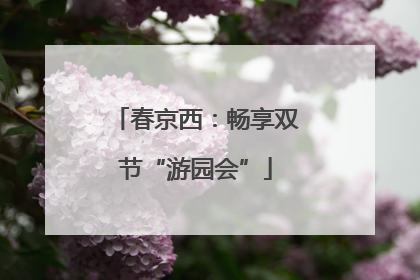 春京西：畅享双节“游园会”