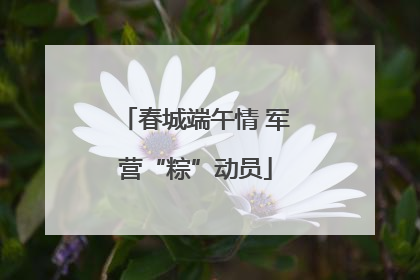 春城端午情 军营“粽”动员