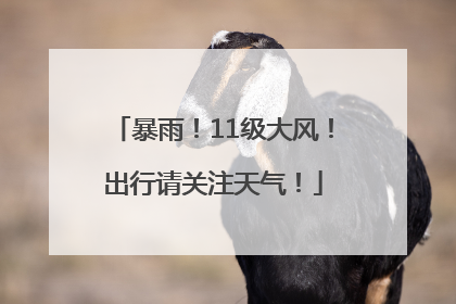 暴雨！11级大风！出行请关注天气！