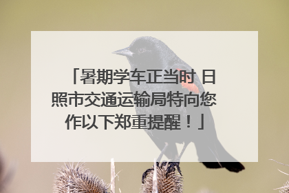 暑期学车正当时 日照市交通运输局特向您作以下郑重提醒！