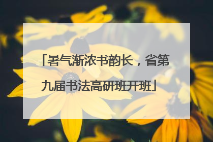 暑气渐浓书韵长，省第九届书法高研班开班