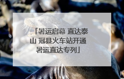 暑运启幕 直达泰山 冠县火车站开通暑运直达专列